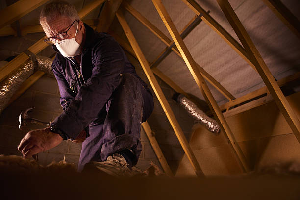 Best Types of Insulation in Springhill, LA