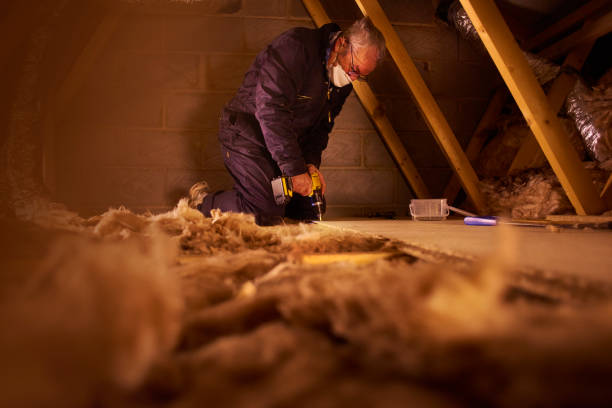 Best Insulation for Specific Applications in Springhill, LA